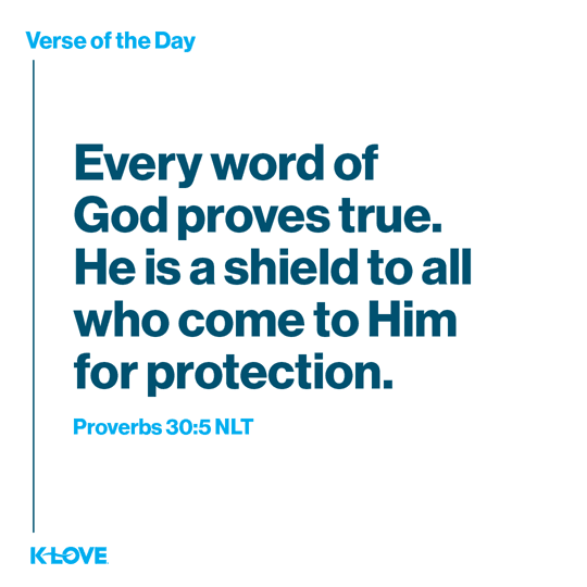 Every word of God proves true. He is a shield to all who come to Him for protection.