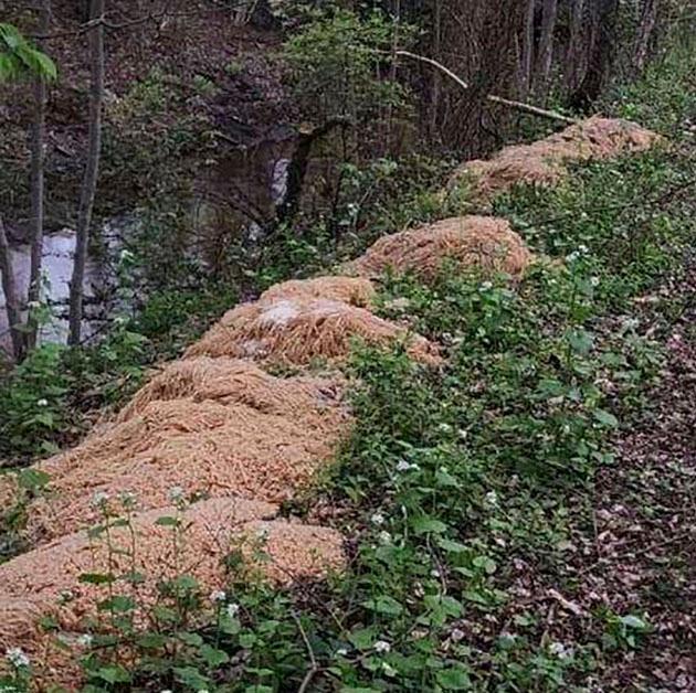 This photo provided by Nina Jochnowitz shows hundreds of pounds of pasta that was dumped near a stream in Old Bridge, N.J.