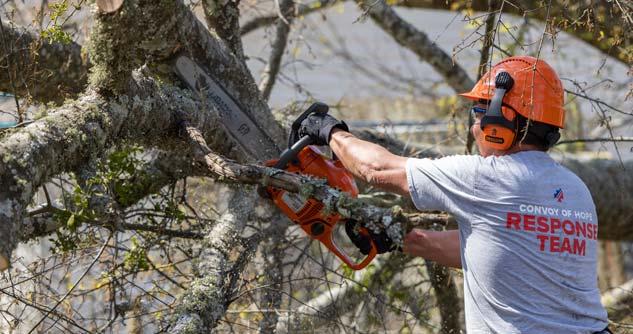 Sawing through a tree downed by the Mississippi tornado (March 2023)