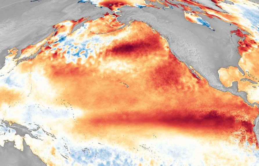 Warm water along the equator off South America signals an El Niño, like this one in 2016.