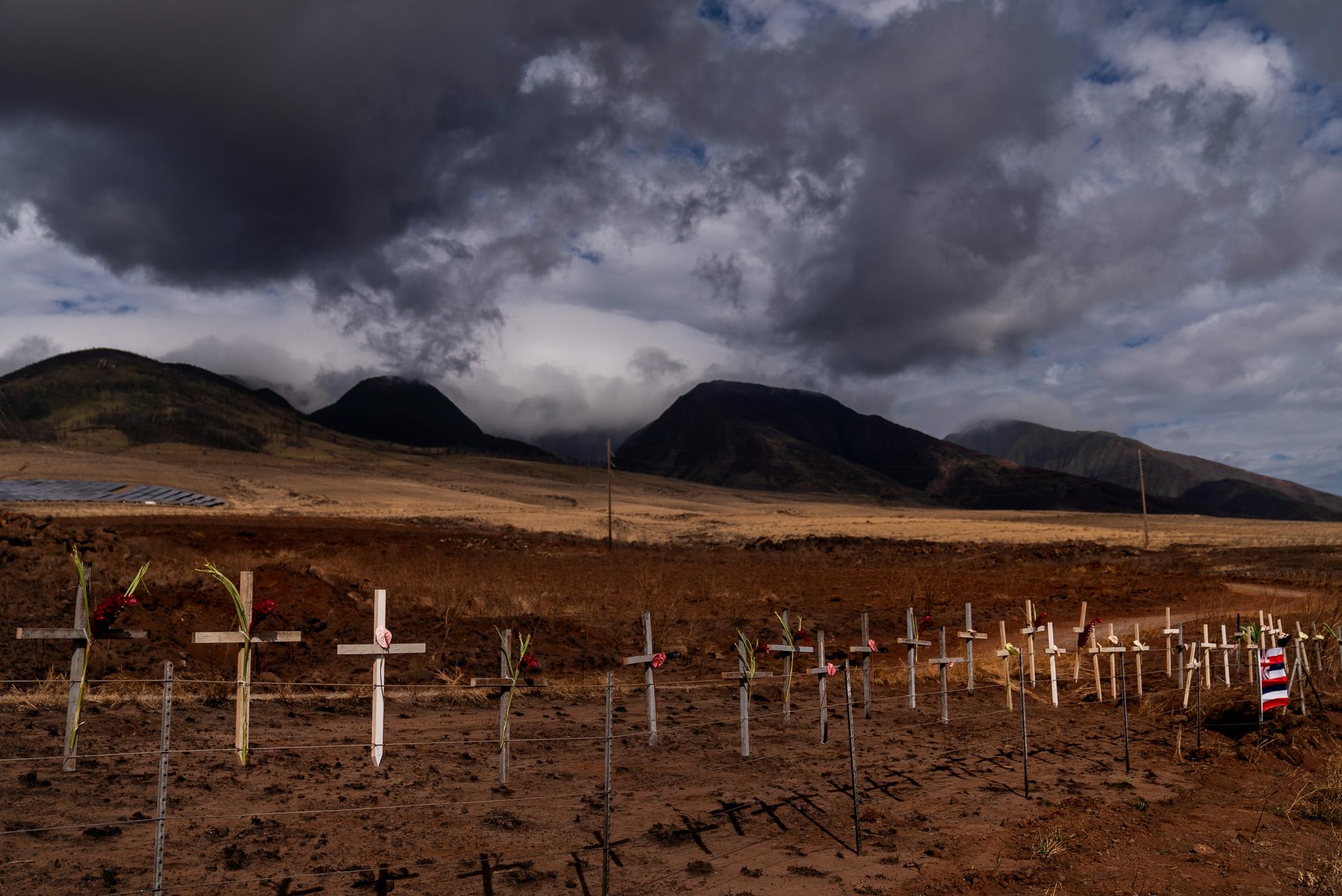 Crosses on a fence on a dirt area