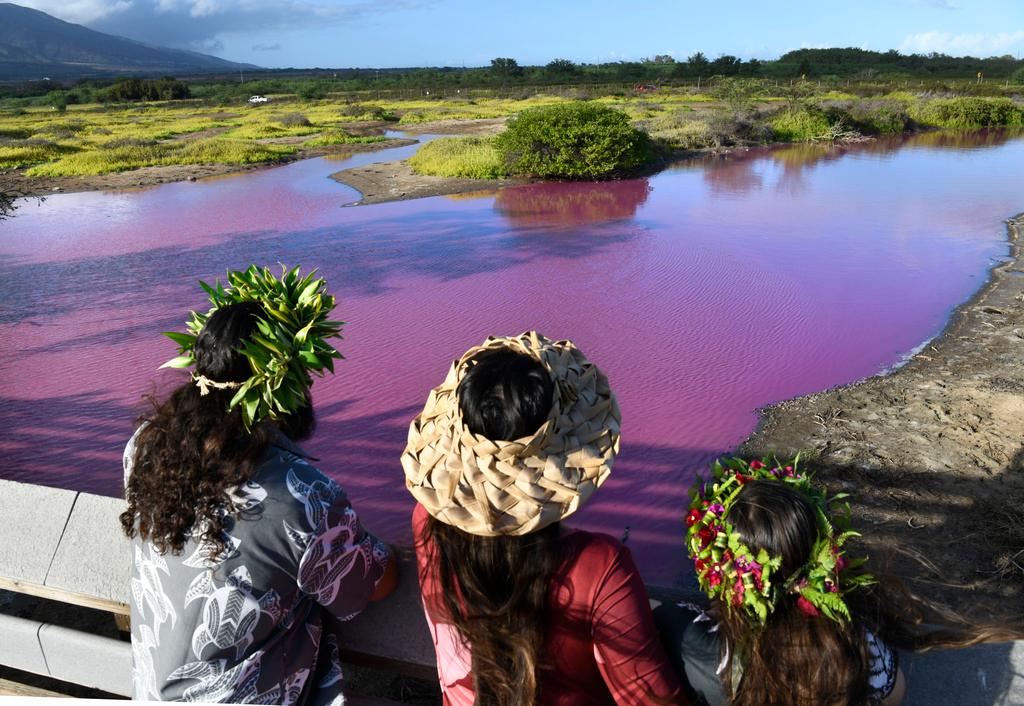 Shad Hanohano, from left, Leilani Fagner and their daughter Meleana Hanohano view the pink water at the Kealia Pond National Wildlife Refuge in Kihei, Hawaii 