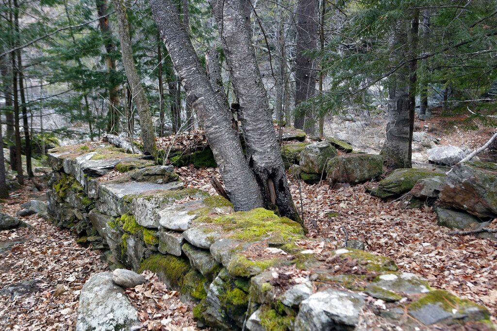 Remains south of Livermore Falls in an area known as the Hollows in Campton, N.H.