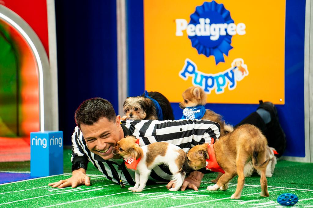 Referee Dan Schachner with participants of the annual “Puppy Bowl” airing Sunday, Feb. 11 at 2 p.m. ET/11 a.m. PT and will be simulcast across Animal Planet, Discovery, TBS, truTV, Max and discovery+