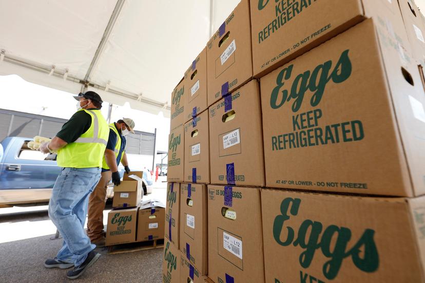 Workers handling cases of eggs