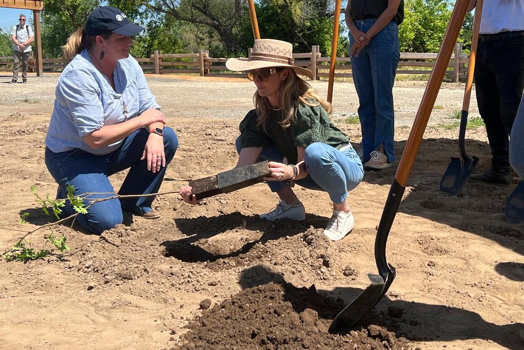 First partner Jennifer Siebel Newsom plants a tree during ground breaking ceremony where the state will open the first new state park in a decade on Monday April 22, 2024 at the Dos Rios property, in Modesto, Calif. 