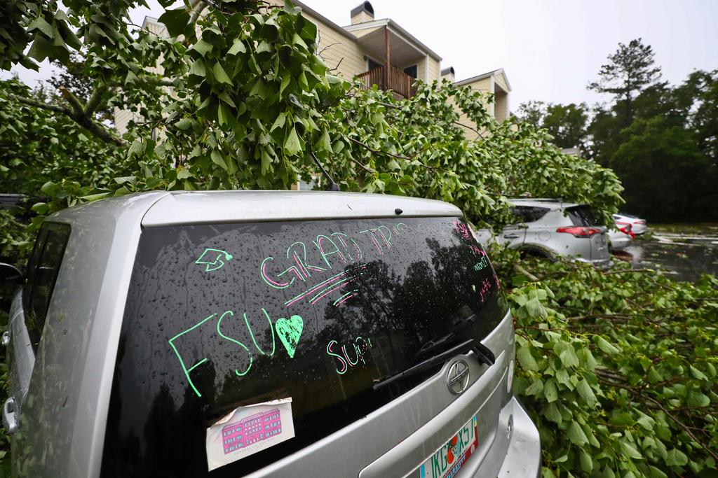 A car is covered by a tree outside an apartment complex in Tallahassee, Fla