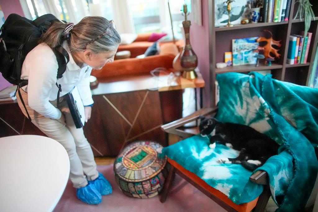 Dr. Amy Attas, greets Puddy Beyer, a 19 year old male Domestic Short Haired cat, as she arrives for a house call