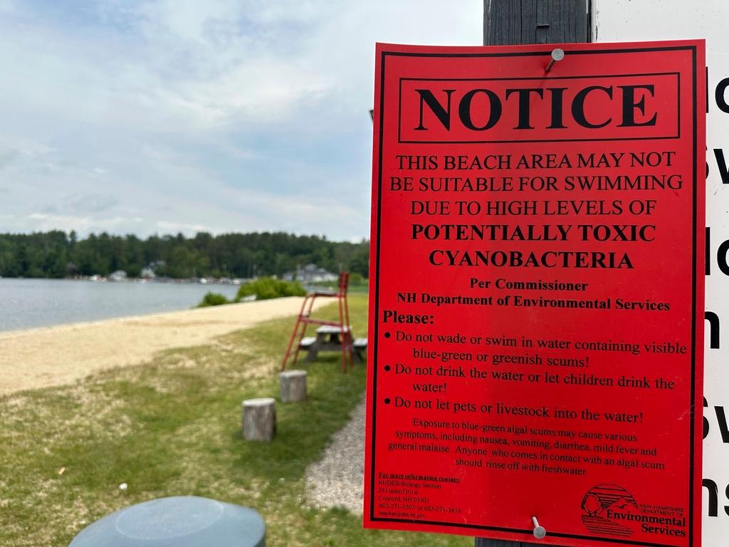 Sign warns visitors at 19 Mile Beach along Lake Winnipesaukee of an algae bloom