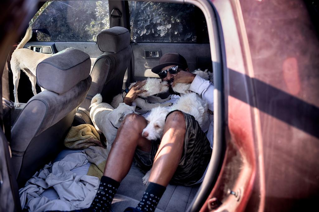 David Clarke who is homelessness and living in his car with his 6 dogs, takes to the shade at the Sepulveda Basin dog park in Los Angeles