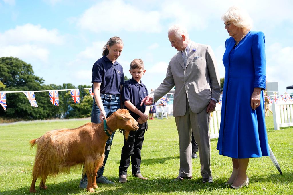 Britain's King Charles III and Queen Camilla view a rare Golden Guernsey Goats during a visit to Les Cotils at L'Hyvreuse, in Saint Peter Port, Guernsey 