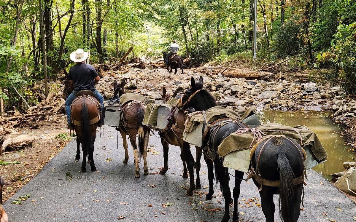 Mules with supplies and several wranglers navigating a trail covered in rocks