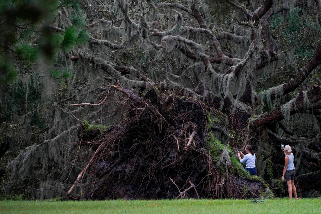 Women look at an uprooted tree the morning after Hurricane Milton hit in Odessa, Fla.