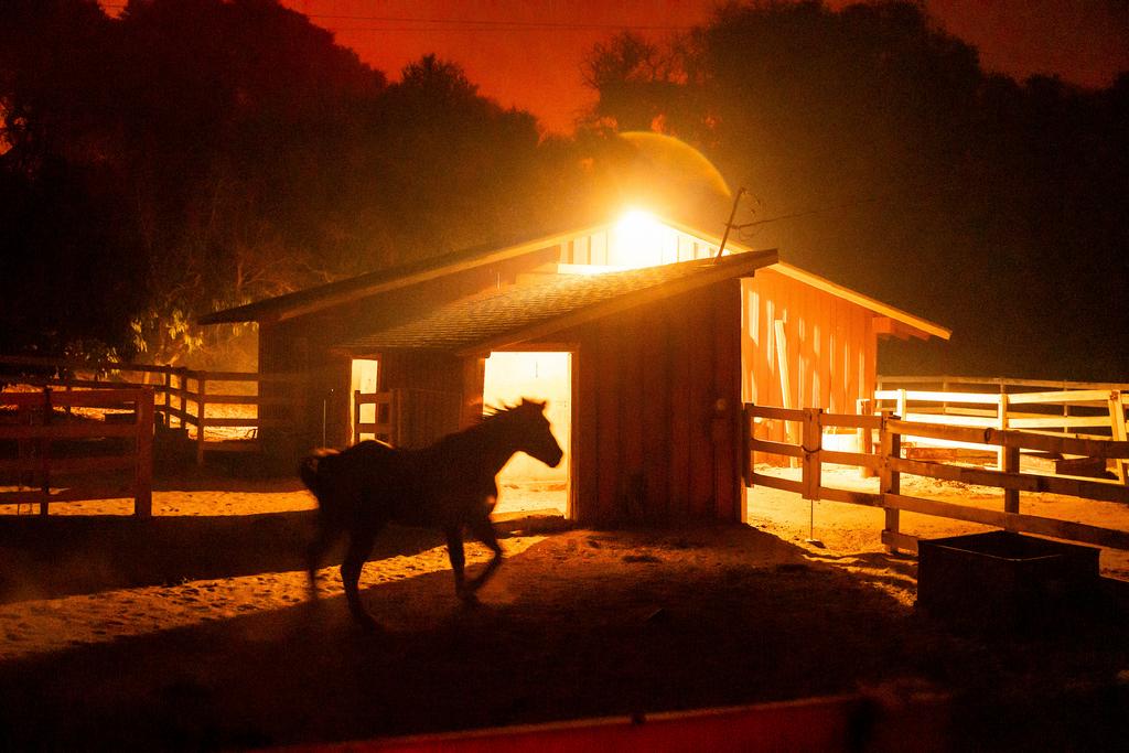 A horse stands in an enclosure as the Mountain Fire burns behind in Santa Paula, Calif. 