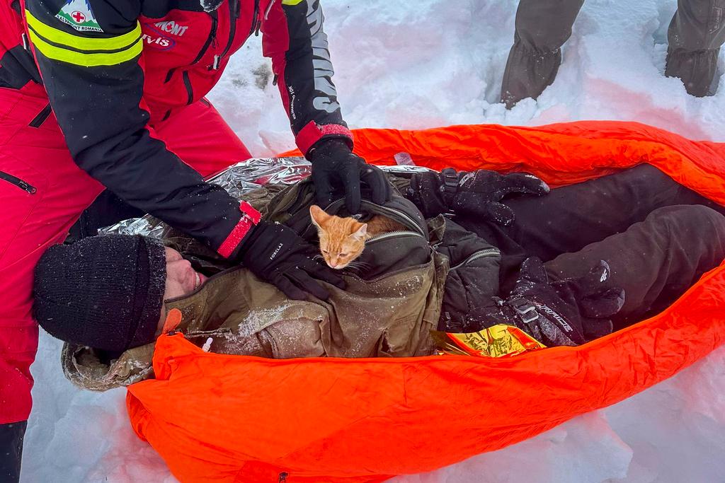 Peach the cat peers from the jacket of its owner in the Carpathian Mountains after they were rescued from a deep mountain ravine in a state of severe hypothermia