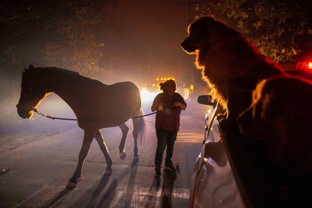 Woman evacuates a horse as the Franklin Fire burns in Malibu, Calif.