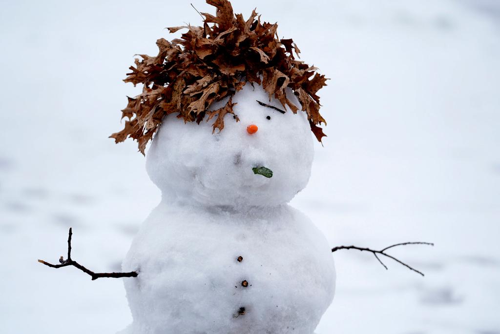 A snowman with leaves for hair stands in a park in Richardson, Texas