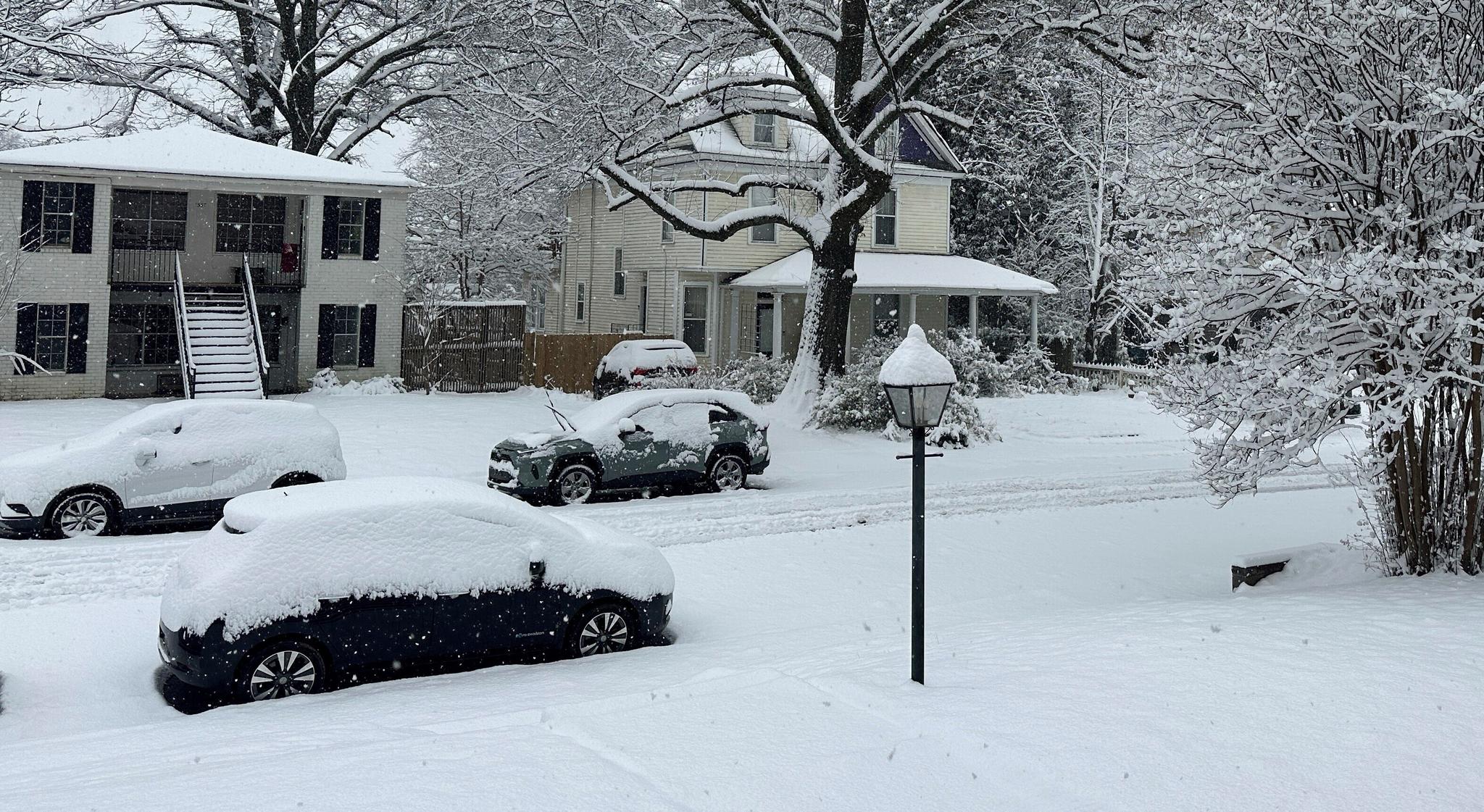 Snow-covered cars, trees and houses