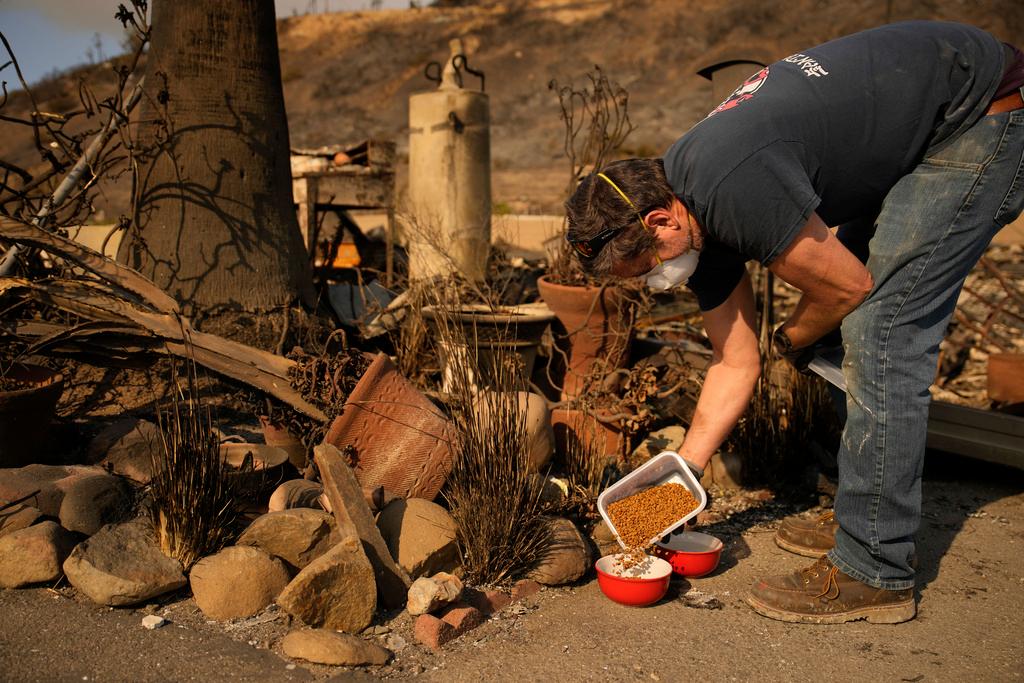 Kevin Marshall fills a bowl with cat food for Simba, a cat his mother took care of, in the aftermath of the Palisades Fire