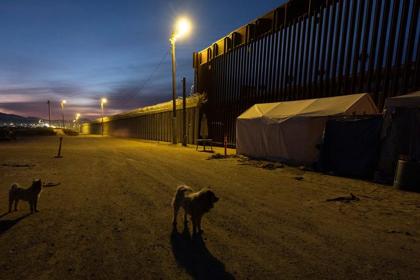 Dogs are near a border wall separating Mexico from the United States