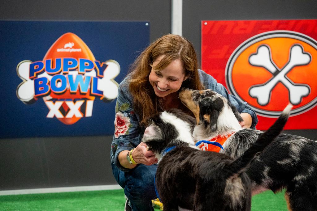 Animal expert Victoria Schade interacting with dogs on the set of "Puppy Bowl XXI," airing Sunday