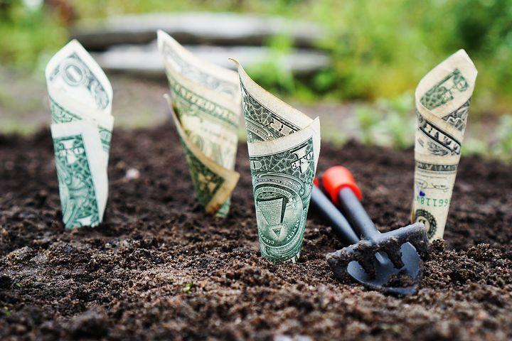 Dollar Bill planted in mud with small digging shovel 