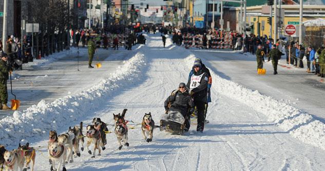 A dog sled team racing down an Anchorage street