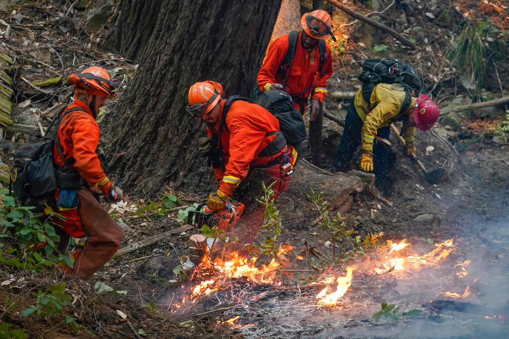 A California Dept. of Corrections fire crew puts down hot spots while fighting the CZU August Lightning Complex Fire, Friday, Aug. 21, 2020, in Bonny Doon, Calif.