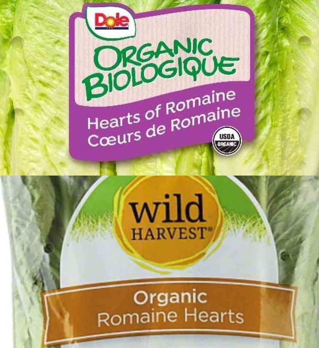 Lettuce Recall