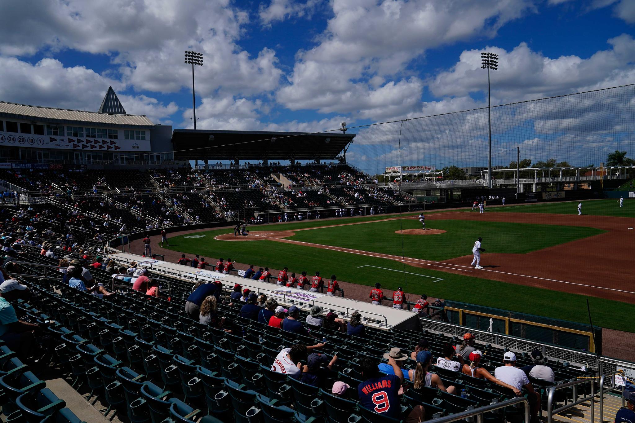 Safety Tips For Visiting The Ballpark This Season | Positive ...