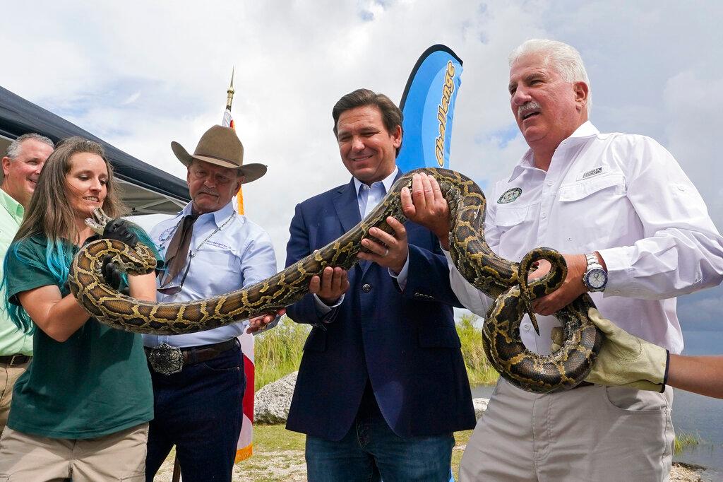 Florida Gov. Ron DeSantis holding python 