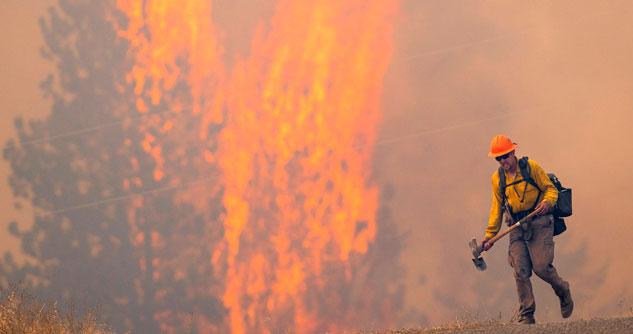 wildland firefighter