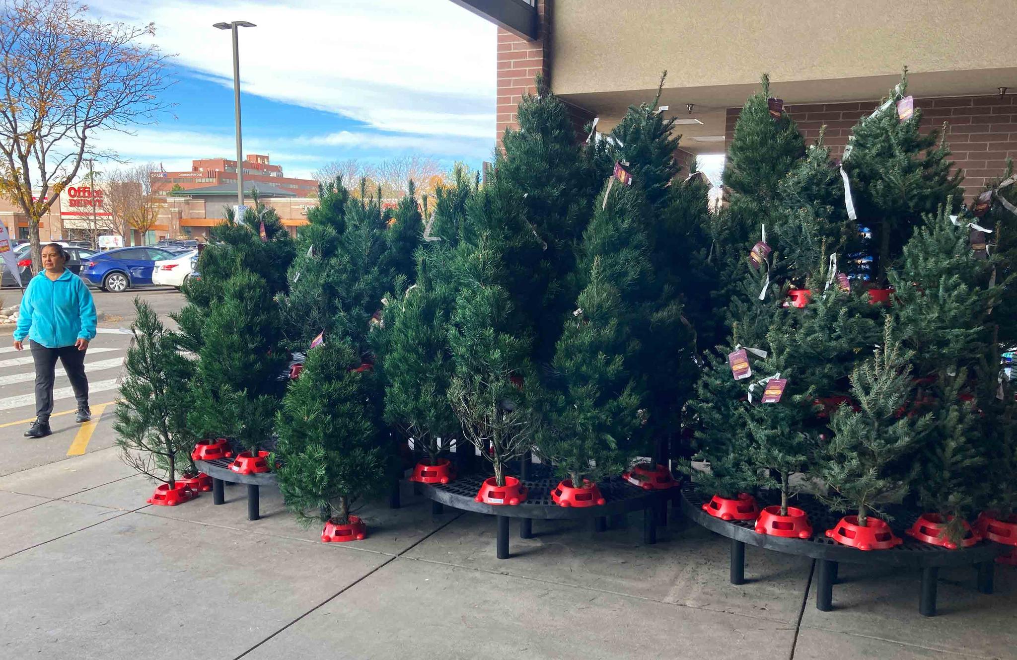 A shopper passes by a display of Christmas trees outside the main entrance to a grocery store, Tuesday, Nov. 16, 2021, in southeast Denver.