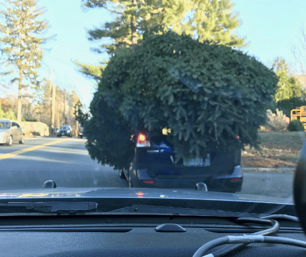 Christmas tree overload