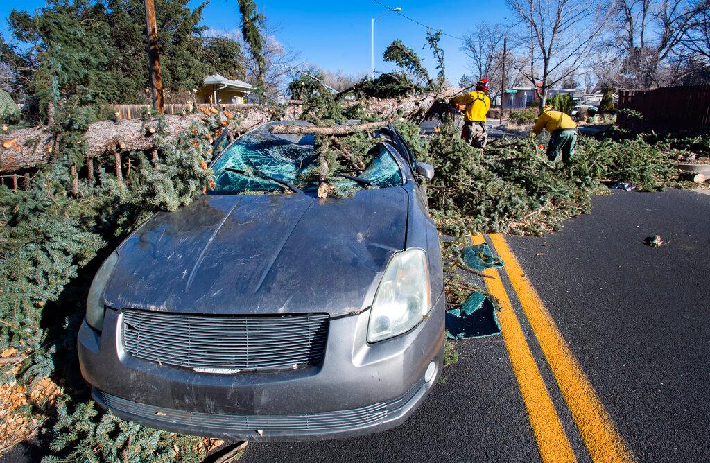 Tree falls on car in Colorado during wind storm 