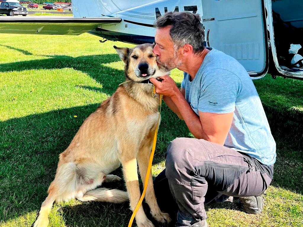 In this photo provided by Regal Air, musher Sebastien Dos Santos Borges, of France, and sled dog Leon arrive in Anchorage, Alaska, Saturday, June 4, 2022, after being reunited. The Iditarod Trail Committee says Leon went missing in March during the nearly 1,000-mile race across Alaska before being found three months later after covering nearly 150 miles. Leon was expected to see a veterinarian in the coming days and needs a health certificate before he can fly back to France, Iditarod spokesperson Shannon Markley said.