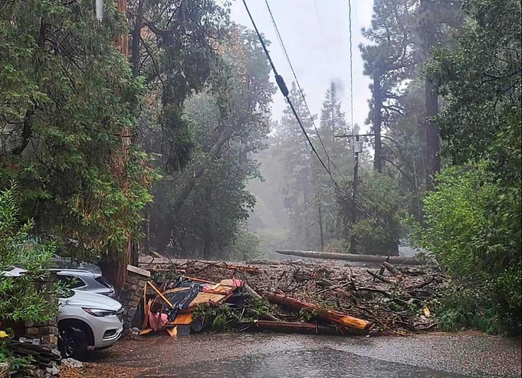 A fallen tree and other debris blocks a road in Forest Falls after a mudslide in San Bernardino County, Calif.