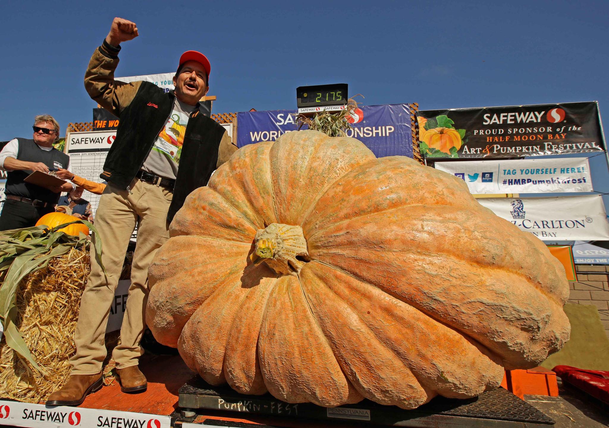 Giant Pumpkin wins at California World Pumpkin Festival