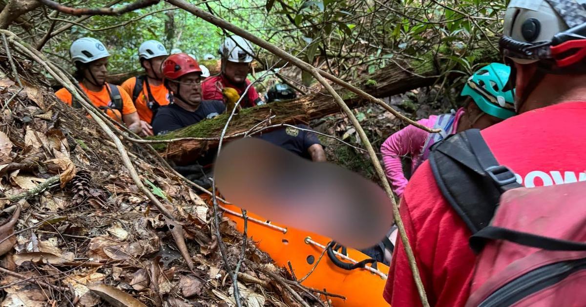 Rescuers with  blurred out hiker in the woods
