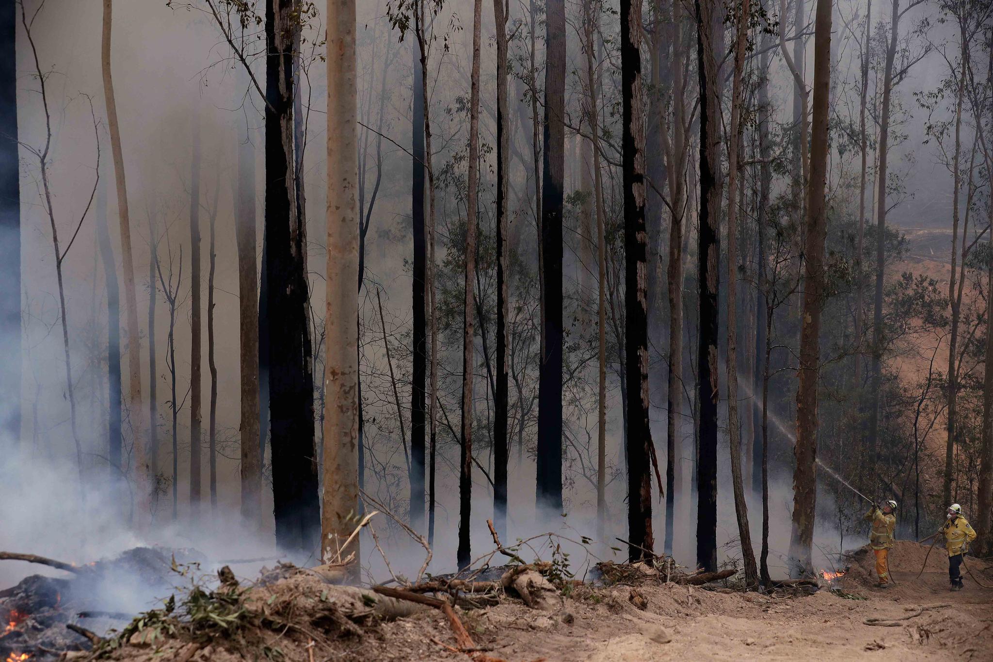 Firefighters patrol a controlled fire as they work at building a containment line at a wildfire near Bodalla, Australia