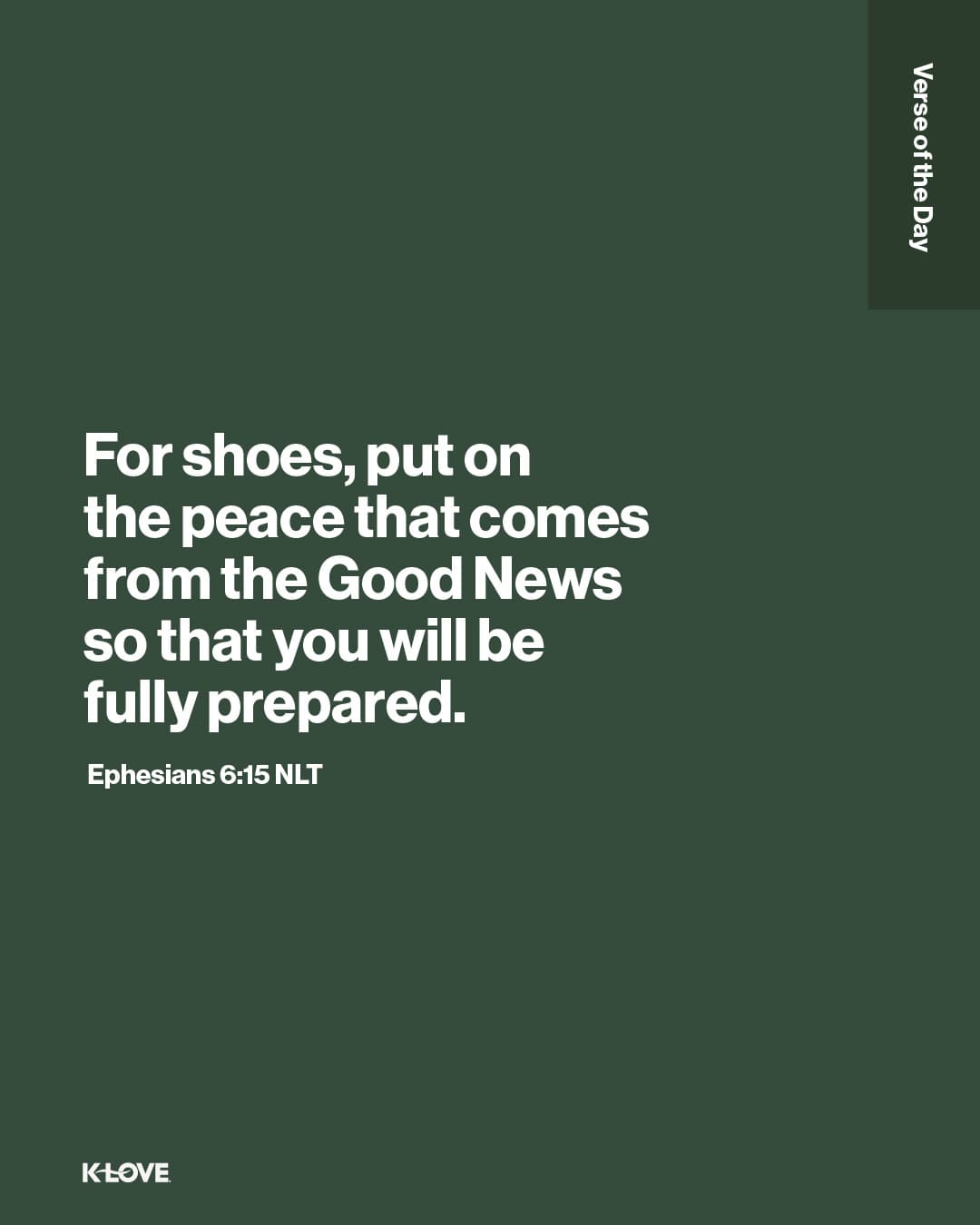 For shoes, put on the peace that comes from the Good News so that you will be fully prepared.
