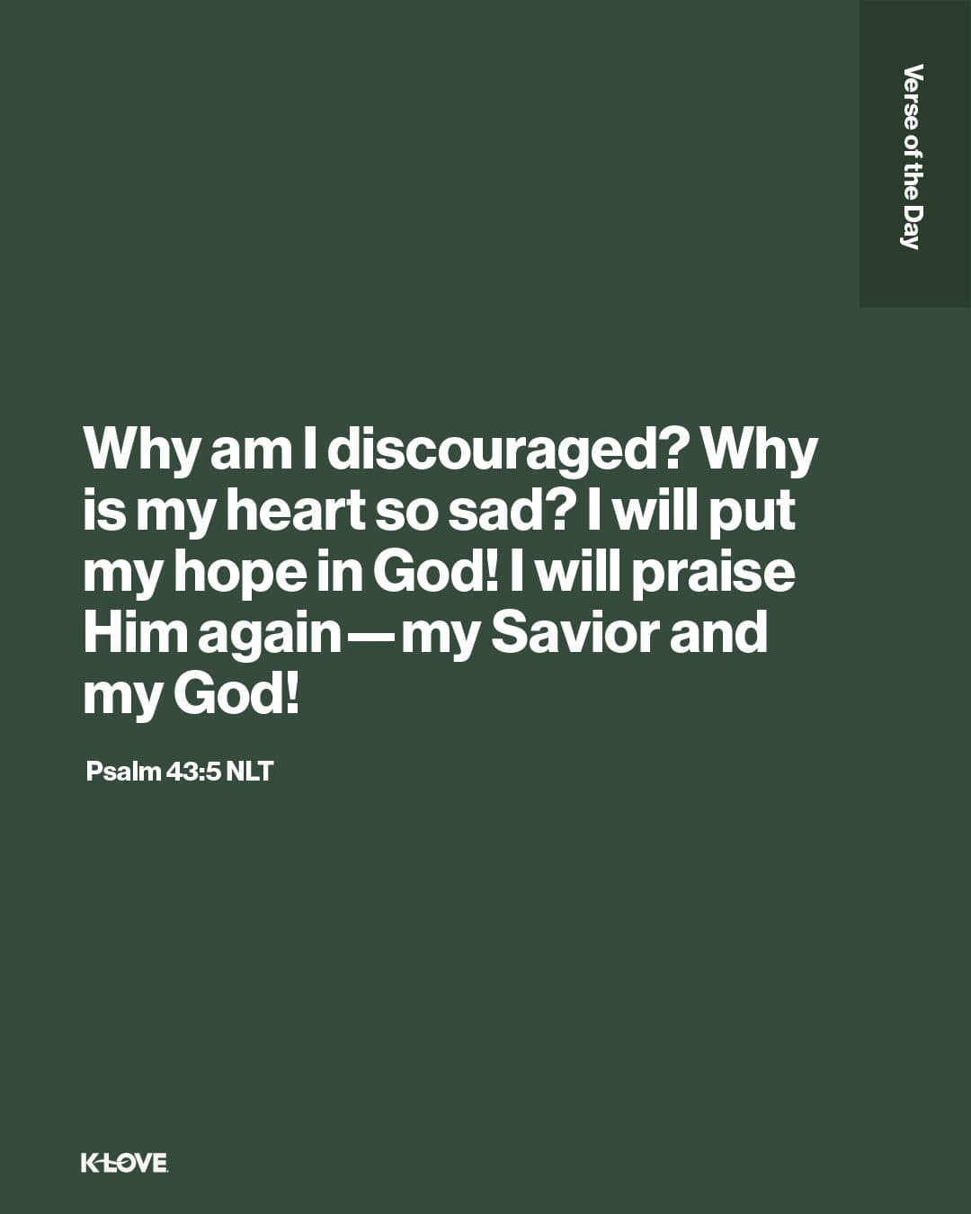 Why am I discouraged? Why is my heart so sad? I will put my hope in God! I will praise Him again—my Savior and my God!