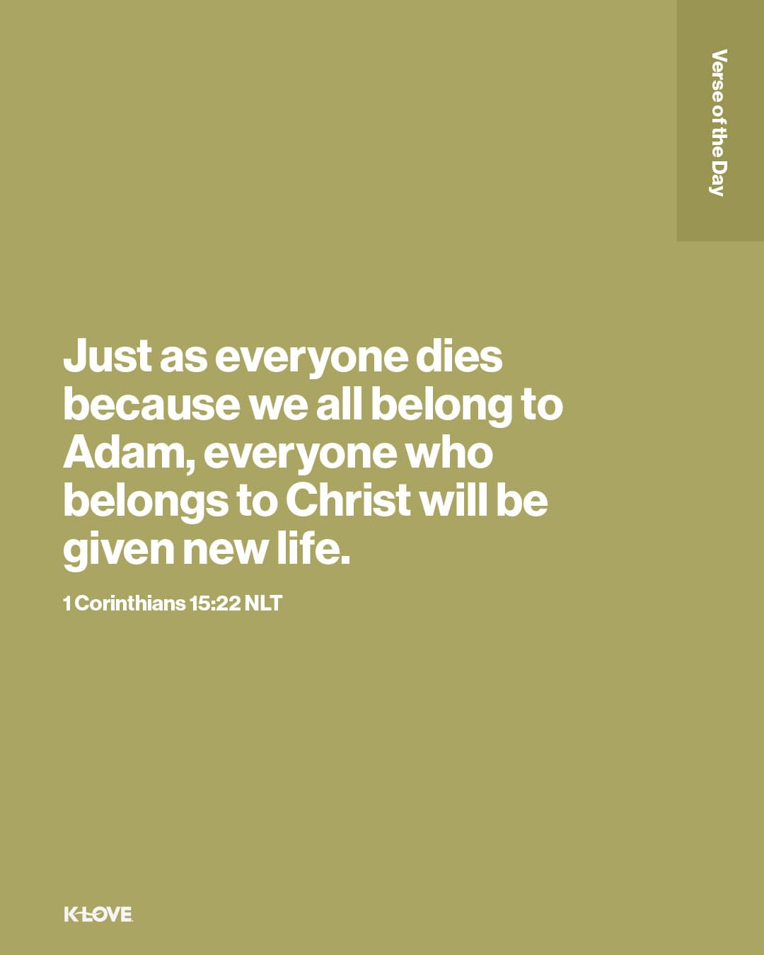 Just as everyone dies because we all belong to Adam, everyone who belongs to Christ will be given new life.