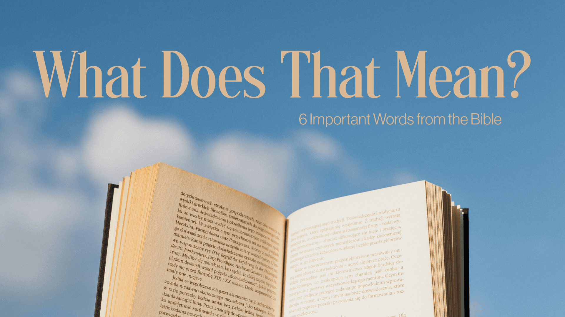 What Does That Mean Series Image