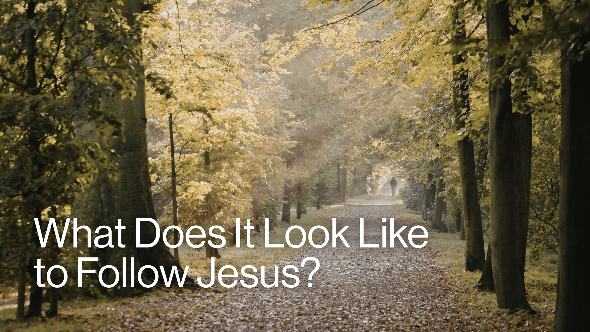 What Does It Look Like to Follow Jesus? Image